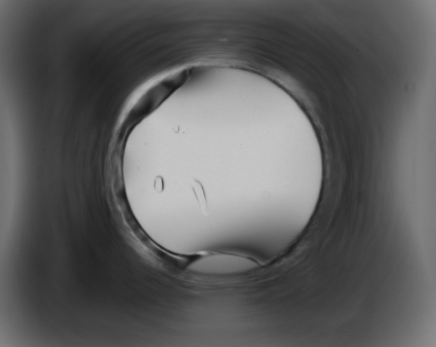 X0000084601344200703231918