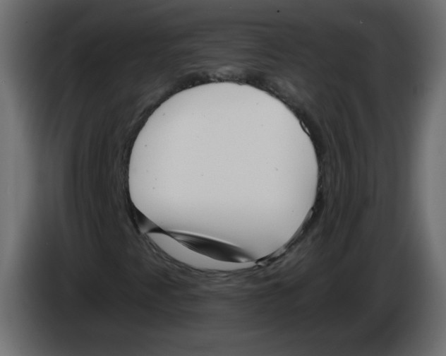 X0000084601345200703231918