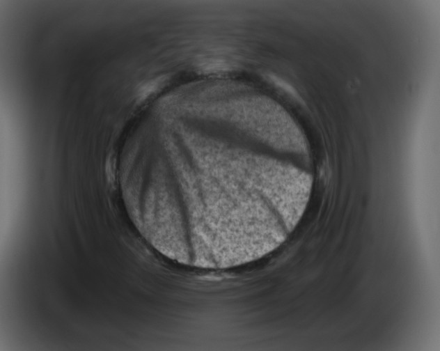 X0000084601348200703231918