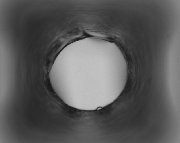 X0000084601349200703231918