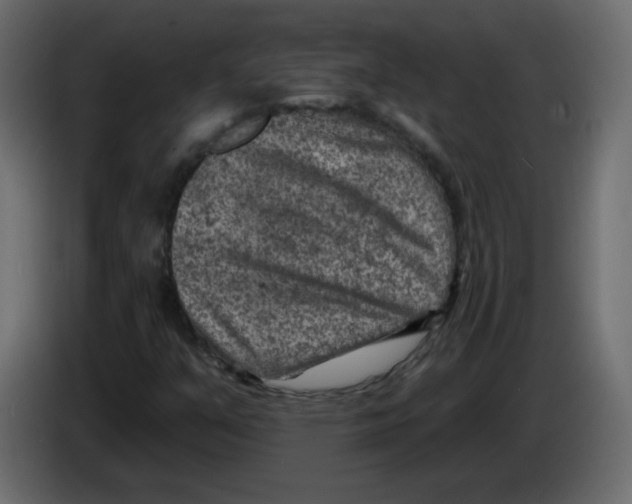 X0000084601351200703231918