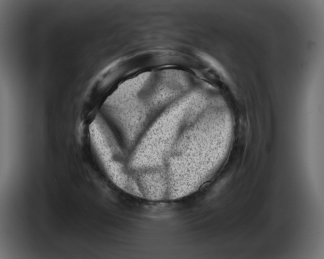 X0000084601352200703231918