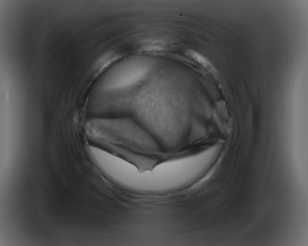 X0000084601353200703231918