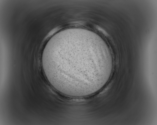 X0000084601354200703231918