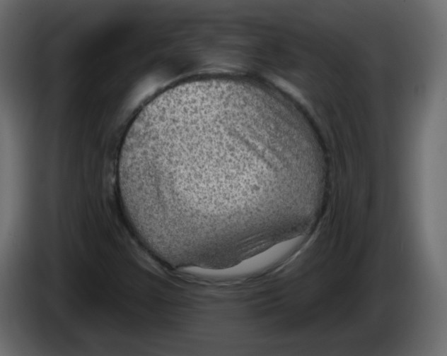 X0000084601355200703231917