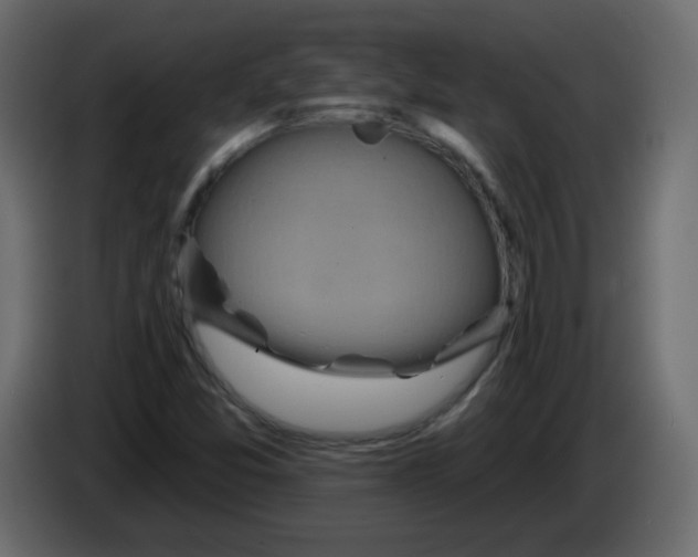 X0000084601357200703231917