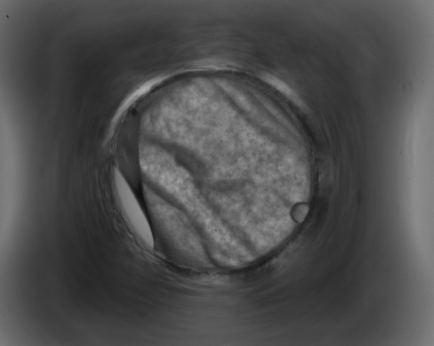 X0000084601358200703231917