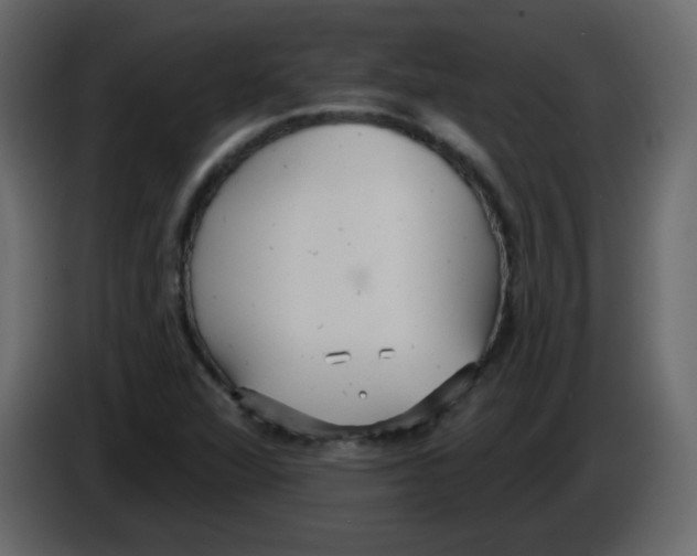 X0000084601360200703231917