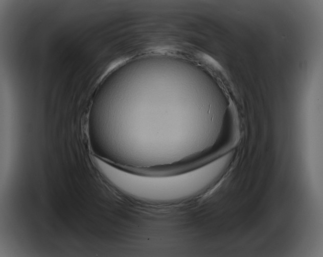 X0000084601361200703231917