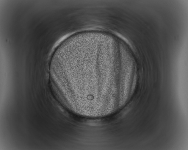 X0000084601363200703231917