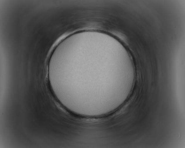 X0000084601366200703231917