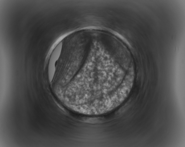 X0000084601367200703231917