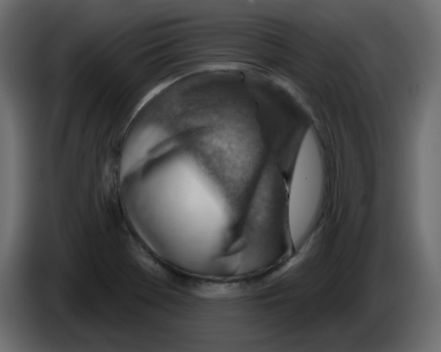 X0000084601369200703231917