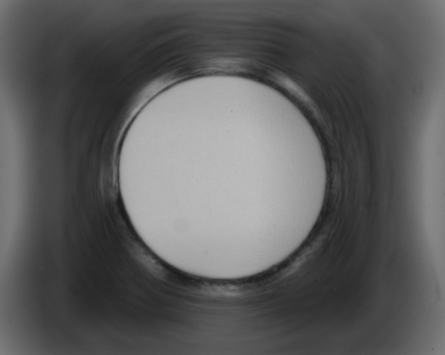 X0000084601370200703231917