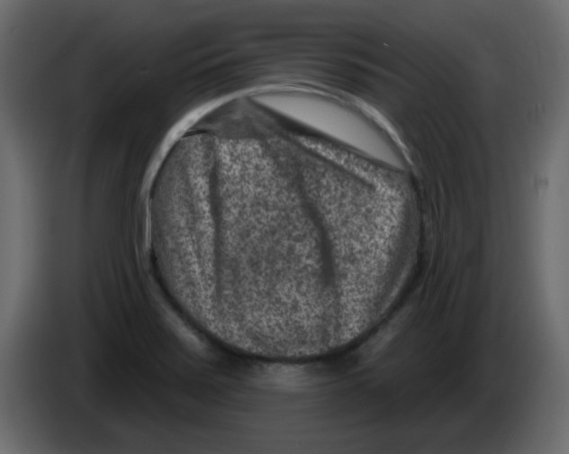 X0000084601371200703231917