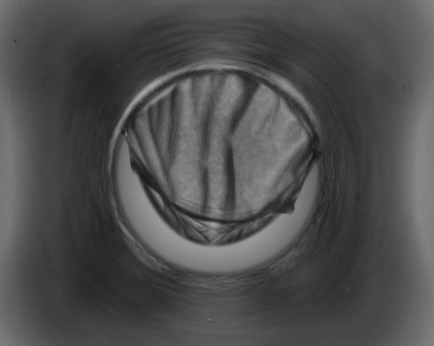 X0000084601372200703231917