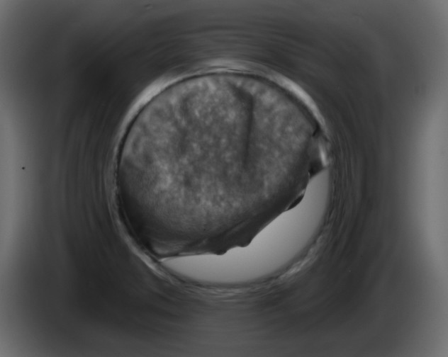 X0000084601373200703231917