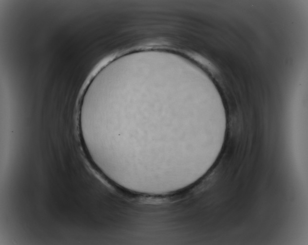 X0000084601374200703231917