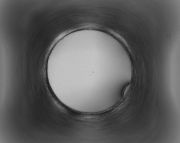 X0000084601375200703231917