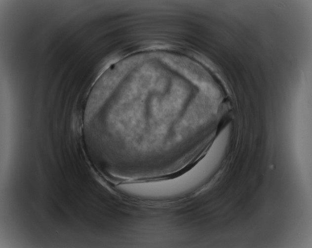 X0000084601377200703231917