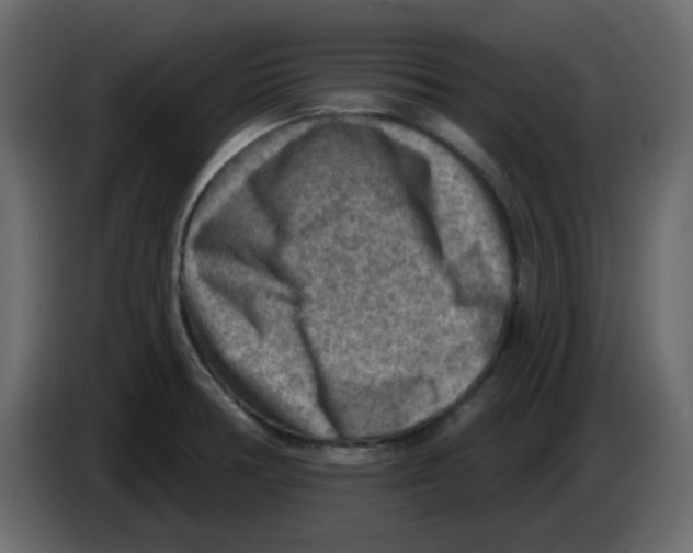 X0000084601378200703231917