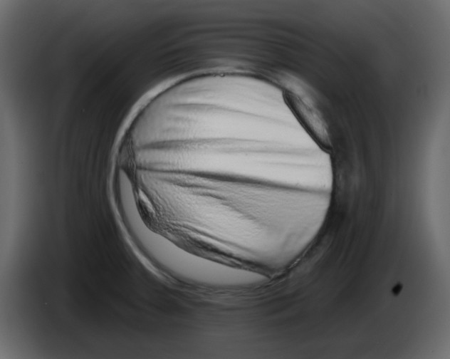 X0000084601379200703231917