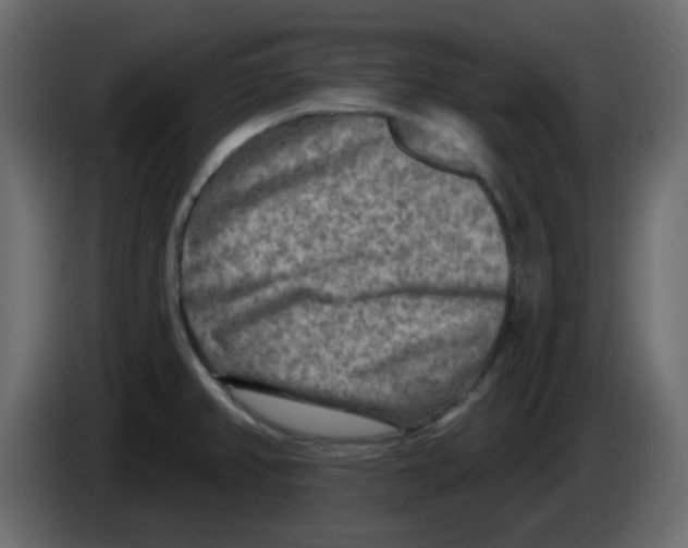 X0000084601382200703231917