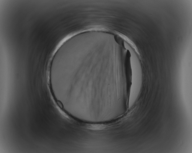 X0000084601383200703231917