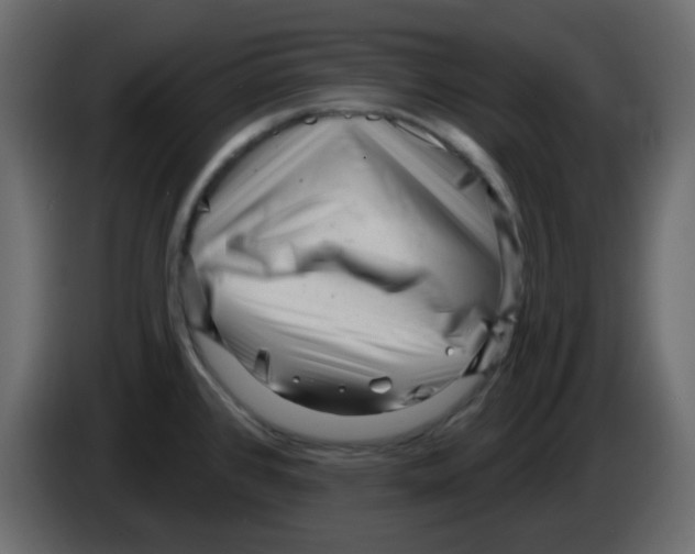 X0000084601384200703231917