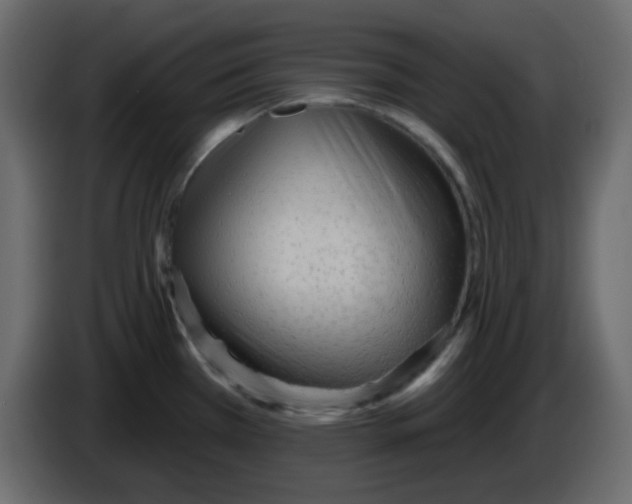 X0000084601385200703231917