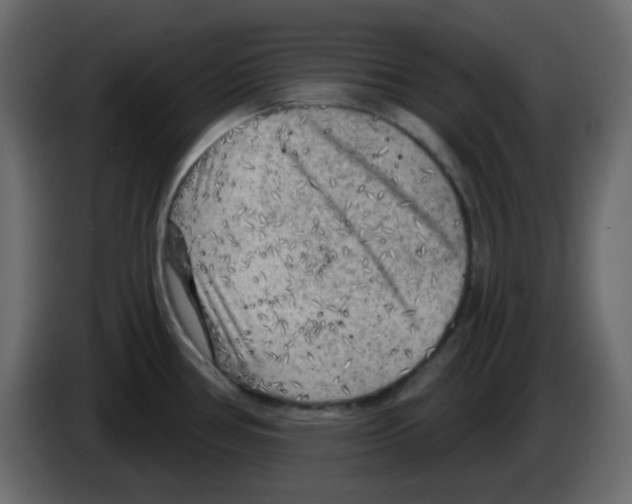 X0000084601386200703231917