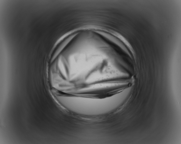 X0000084601388200703231917