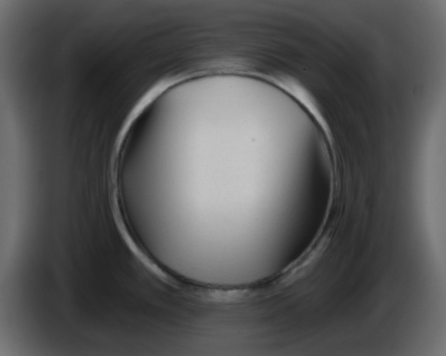 X0000084601389200703231917