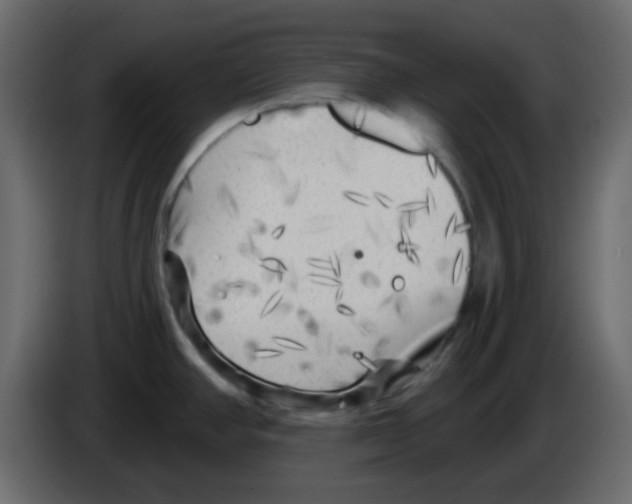 X0000084601390200703231917