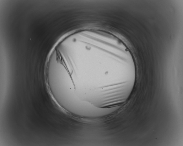 X0000084601392200703231917