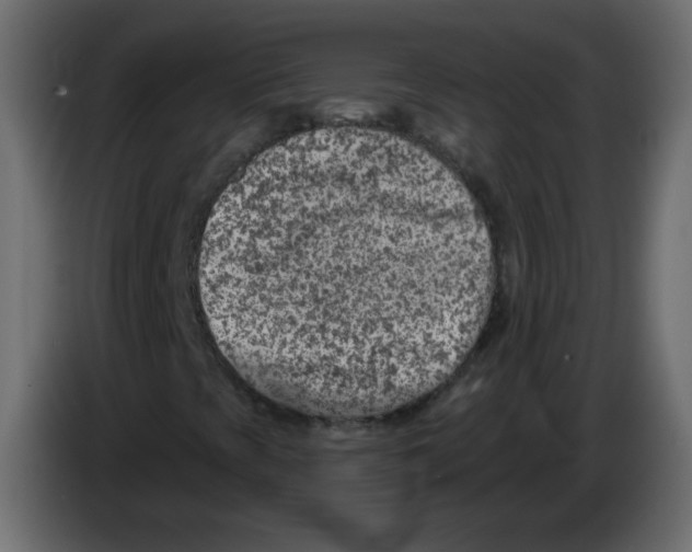 X0000084601393200703231916