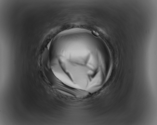 X0000084601398200703231916