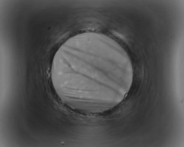 X0000084601399200703231916