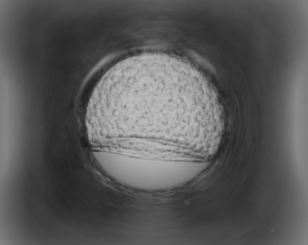 X0000084601400200703231916