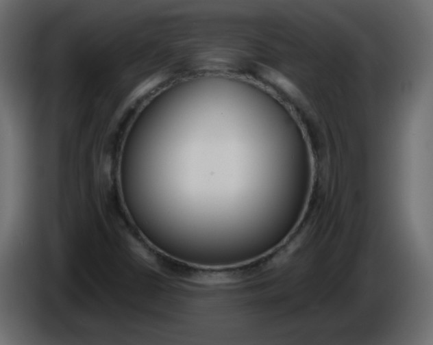 X0000084601402200703231916