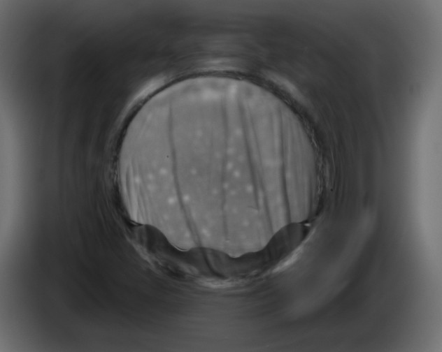 X0000084601405200703231916