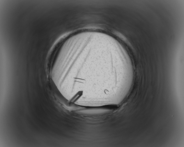 X0000084601408200703231917
