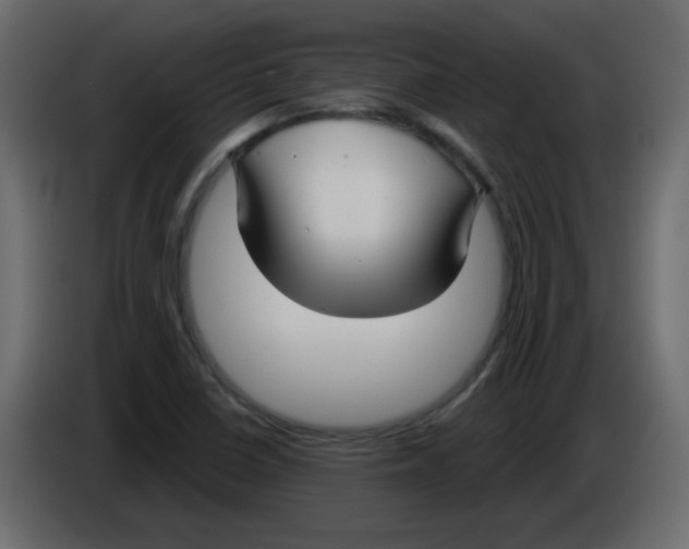 X0000084601410200703231917