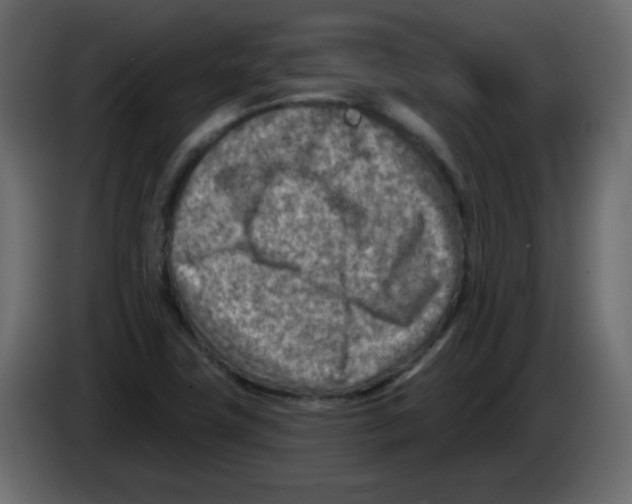 X0000084601411200703231917