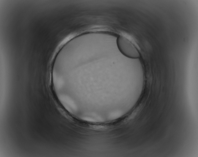 X0000084601413200703231917