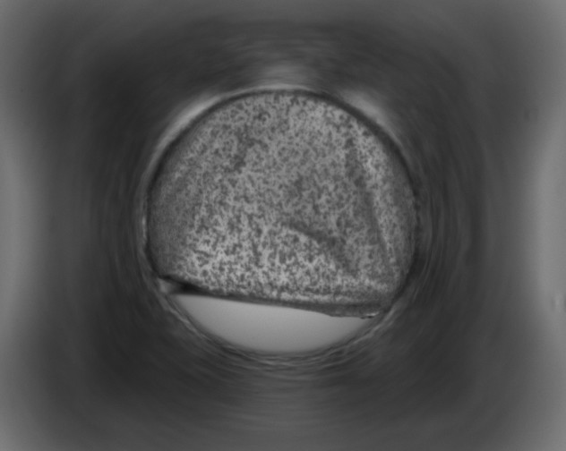 X0000084601415200703231917