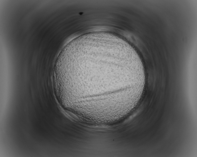 X0000084601417200703231917