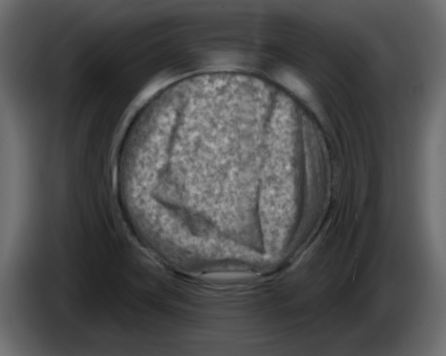 X0000084601419200703231917