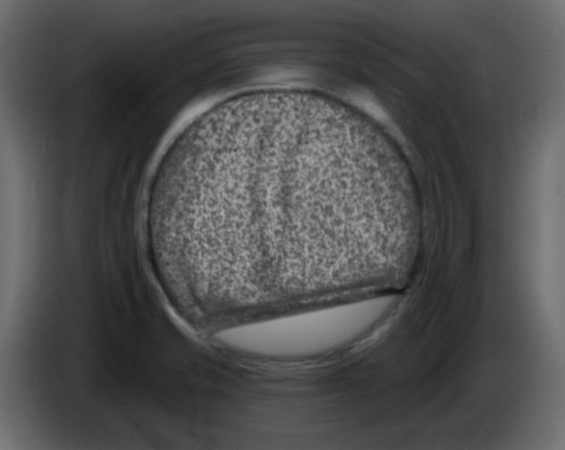 X0000084601421200703231917