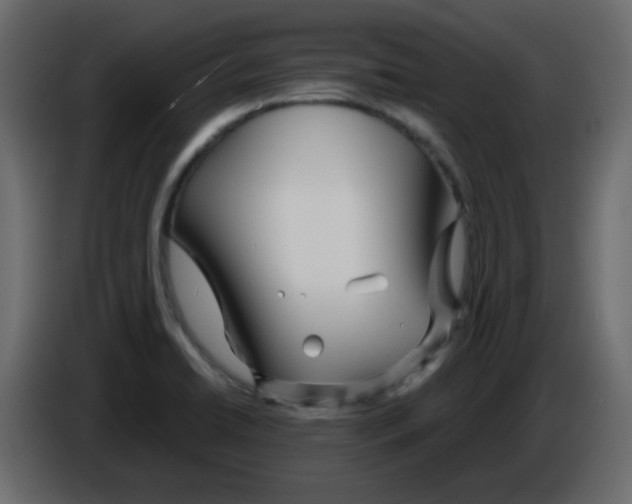 X0000084601422200703231917